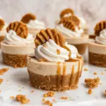 No Bake Mini Biscoff Cheesecakes